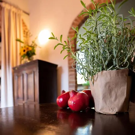 Casa di campagna Borgo San Lorenzo A Linari