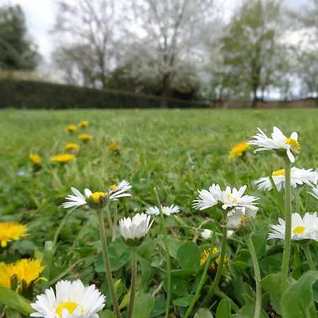 Borgo San Lorenzo A Linari Landsted San Rocco a Pilli